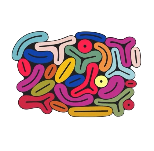 BOMBOM TUTTI FRUTTI RUG 2.0
