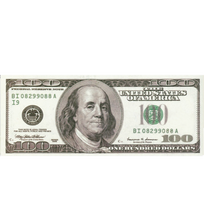 Load image into Gallery viewer, 100 DOLLAR BILL RUG - THE PENTHOUSE THEORY Money
