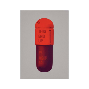 DAMIEN HIRST "THE CURE" PILLS CANVAS PRINT - THE PENTHOUSE THEORY DAMIEN HIRST
