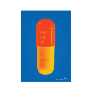 DAMIEN HIRST "THE CURE" PILLS CANVAS PRINT - THE PENTHOUSE THEORY DAMIEN HIRST