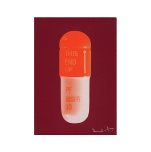 DAMIEN HIRST "THE CURE" PILLS CANVAS PRINT - THE PENTHOUSE THEORY DAMIEN HIRST